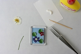 押し花押花おしばなキット作品材料簡単リハビリマグネット