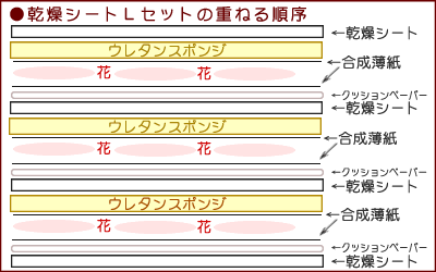 押し花乾燥シートｌセットの使い方